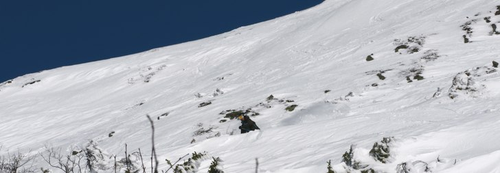Foto: Trond Bråthen. Åkare: Idar Skauby.