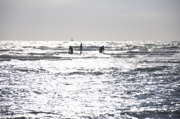 surf. Foto: Ella Atterlid. Åkare: Hugo Atterlid.