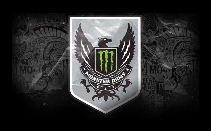 fet soft bild. Foto: ingen taget ur google bilder. Åkare: en monster army örn.
