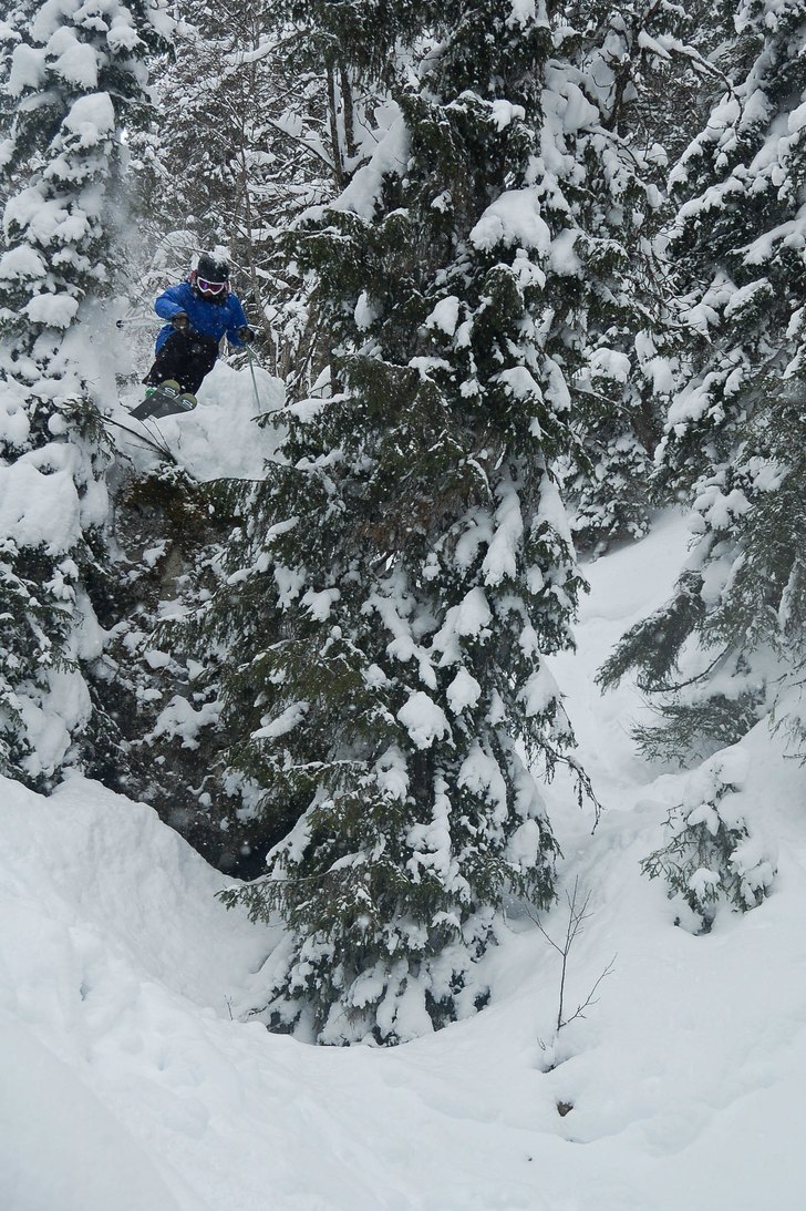 Droppar djupt inne i Duveds skogar. Foto: Adrian Falk. Åkare: Andreas Ojamäe.