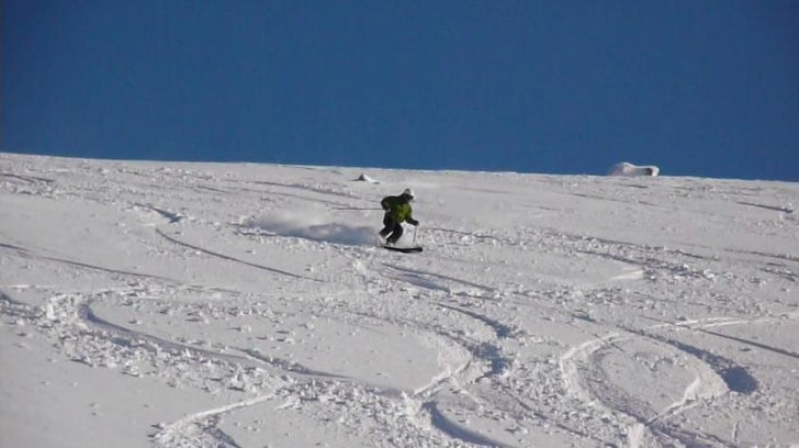 Svensk fluff. Foto: Linda Ifwer. Åkare: Patrik Hjelm.