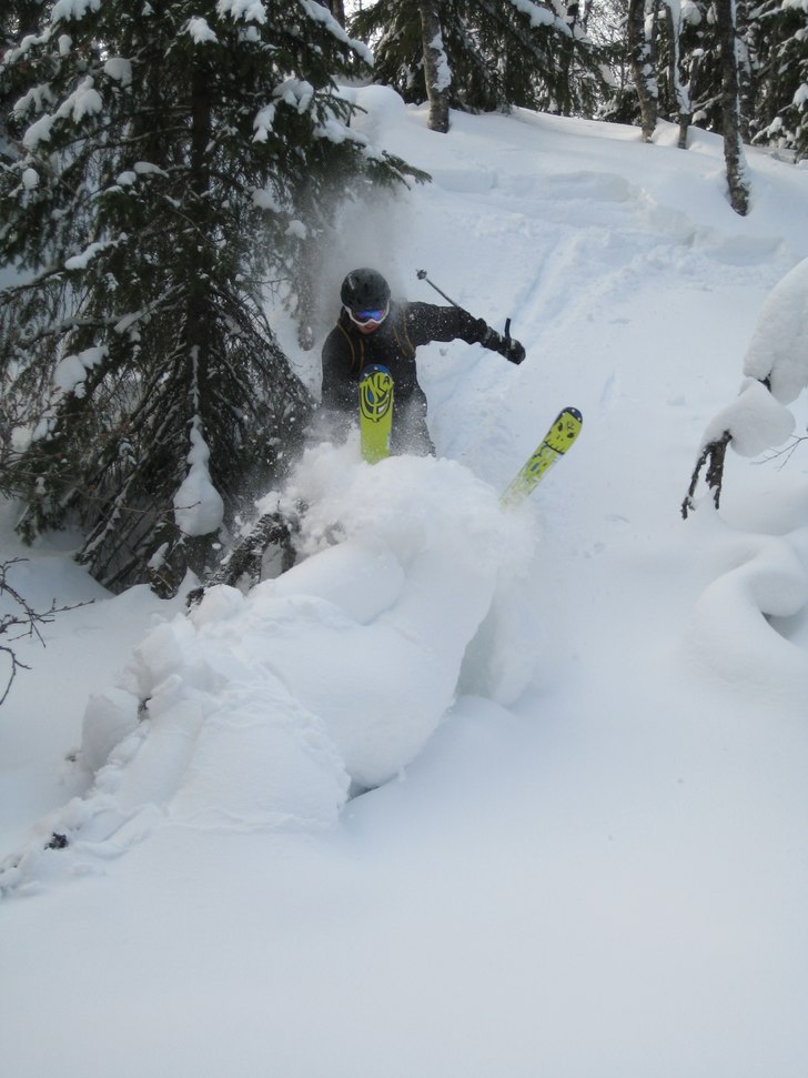 Så ska träden tas!

Kompaktkamera kan!. Foto: Teodor Day. Åkare: Albert Olsson.