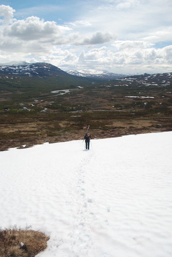 Foto: Johan Sköld.
