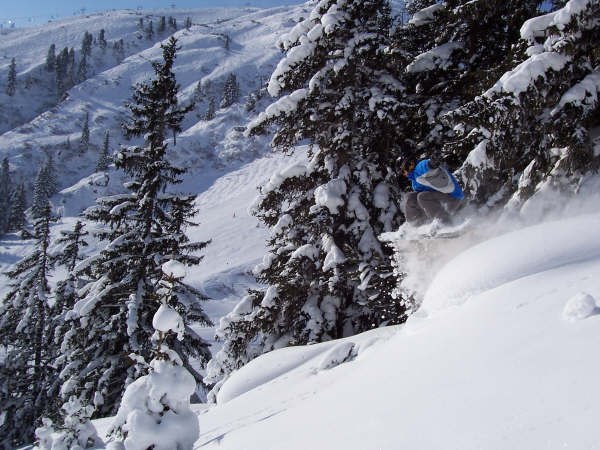 Foto: David Hammarström. Åkare: Magnus Bergh.