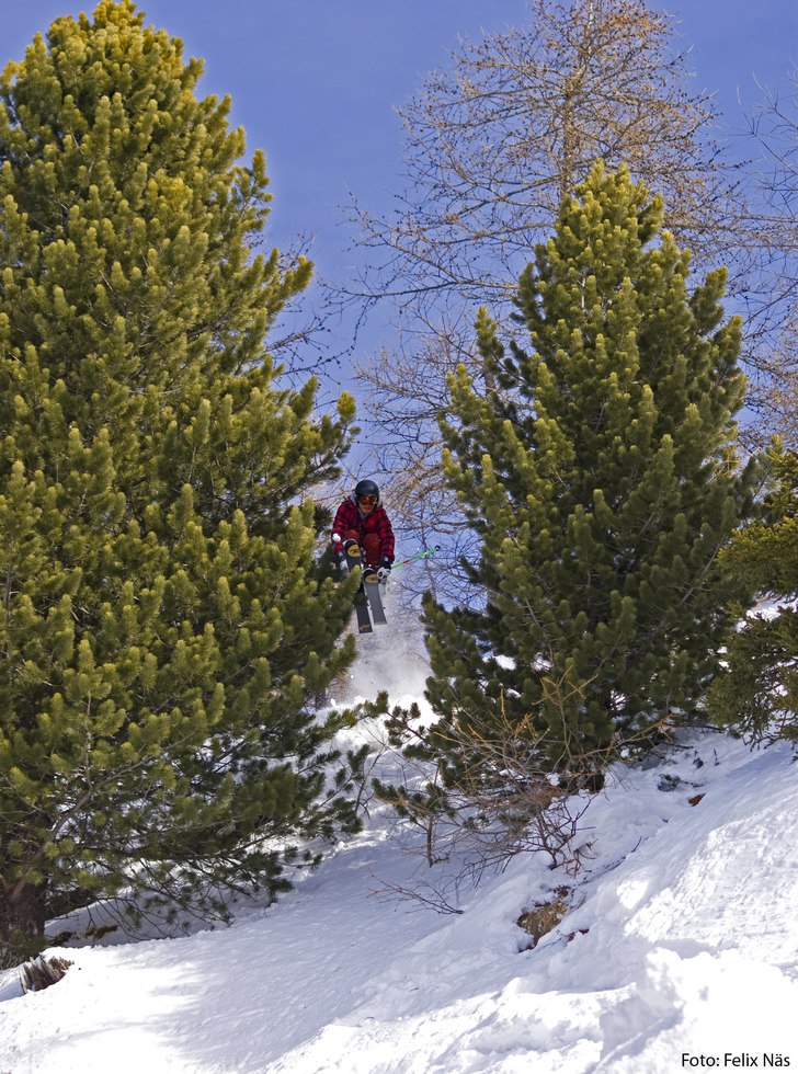 Foto: Felix Näs. Åkare: Elias Henderson.