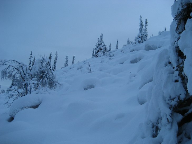 Foto: Love Rynbäck.