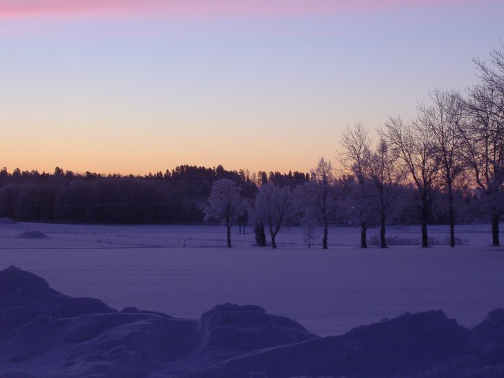 Härliga vintermorgon 2006. Foto: Jennie Nilson.