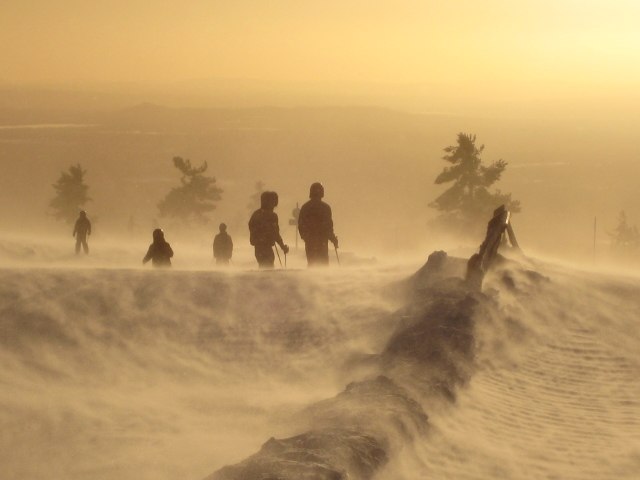 Foto: Martin Edrén.