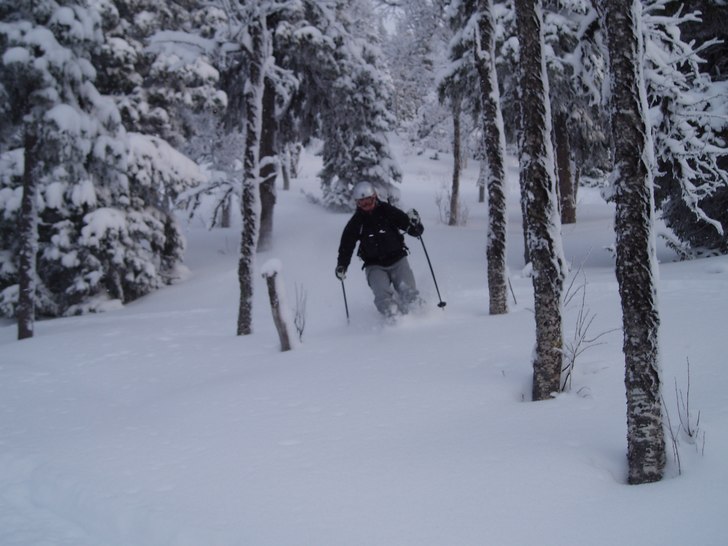 Foto: Camilla Ring. Åkare: Mattias Kempe.