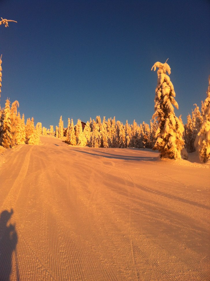 Foto: Tim Zetterberg. Åkare: Lars Johansson.