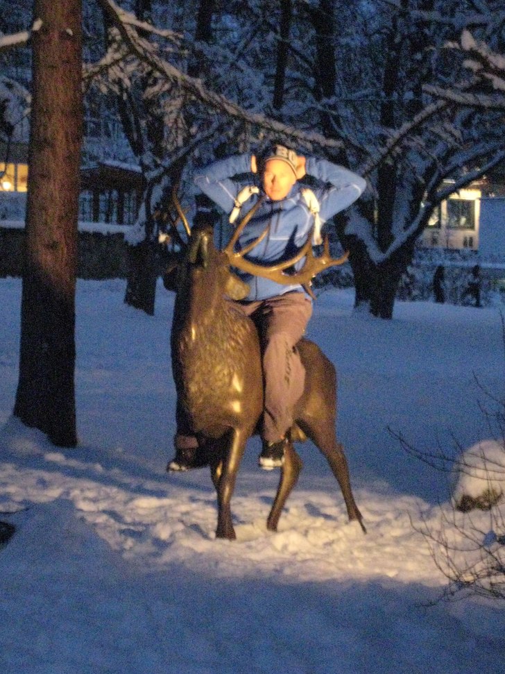 Rider på hjort. Foto: Sara Ritzén. Åkare: Andreas Albrecht.