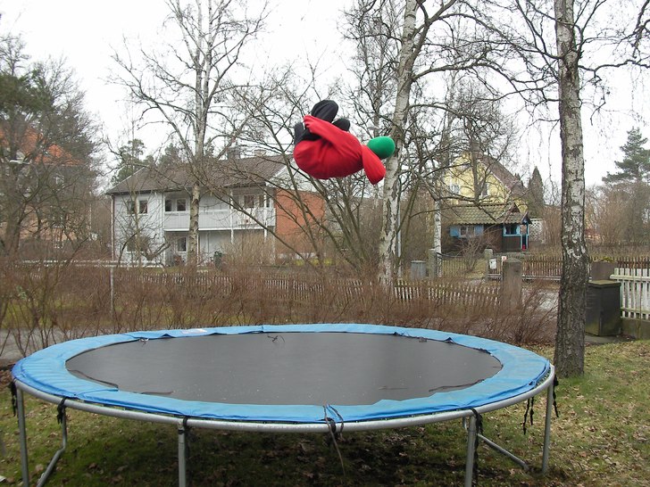 misty 540. Foto: lisa ljungquist. Åkare: hugo ljungquist.