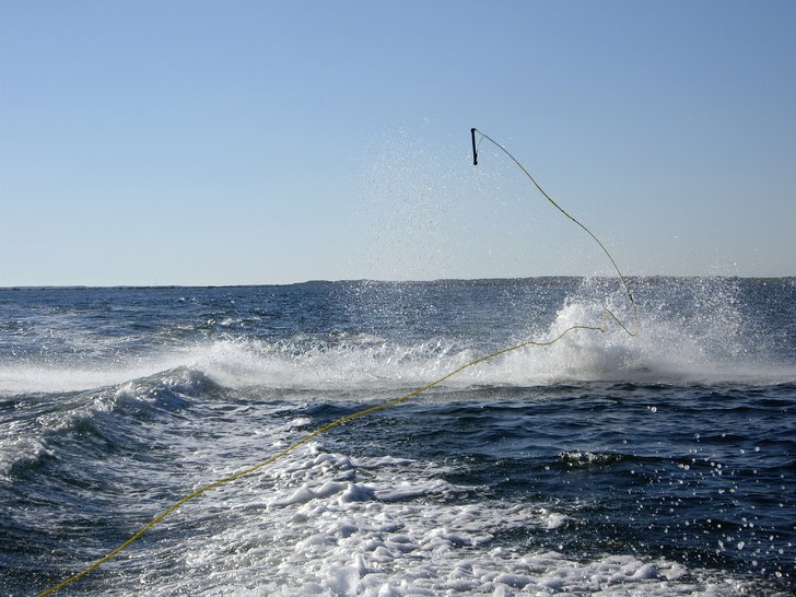 Foto: Kristoffer Andersson. Åkare: Karl Samuelsson.