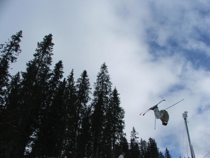 misty 3. Foto: ståle. Åkare: runar.