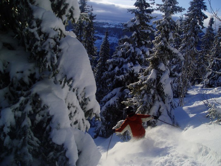 Foto: Gustav Holmer. Åkare: Petter Larsson.