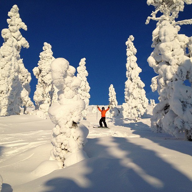 Foto: Trine Bekkhus. Åkare: Isabelle Österdahl.
