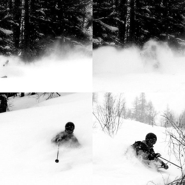 Collage 2 av djup lärkskog. Foto: Sture Ågren. Åkare: Peter Karlsson.