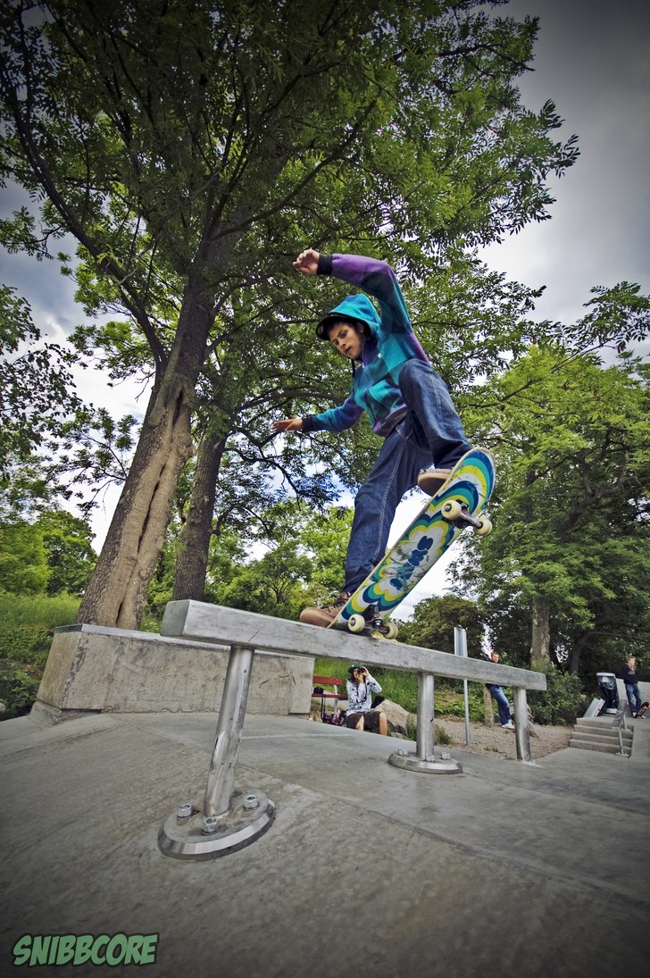 Noseblunt, tror jag :). Foto: Lucas Englund. Åkare: Sebastian Prince.