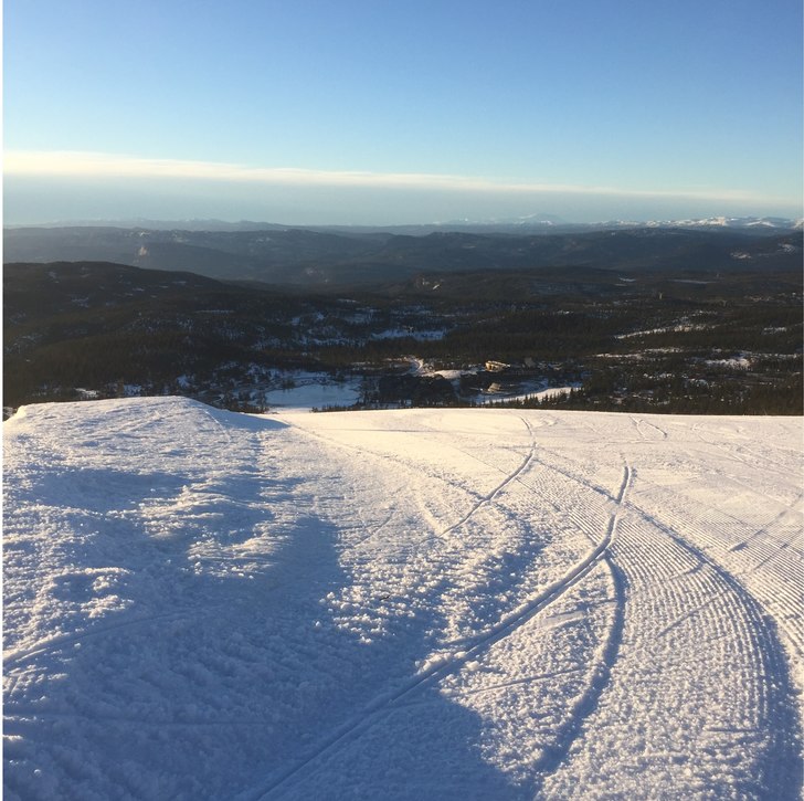 Solen titter frem!
Vi holder åpent fra kl 09.30 m.