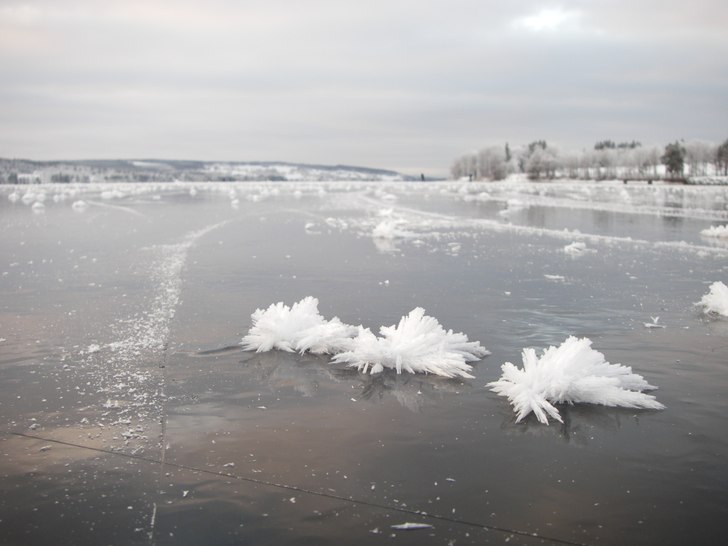 Naurens micro under. Titta noga! Isrosor till jul.. Foto: Mats Mäki. Åkare: Isrosor.