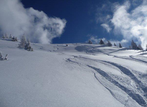 Foto: ?. Åkare: Fredrik Karlsson.