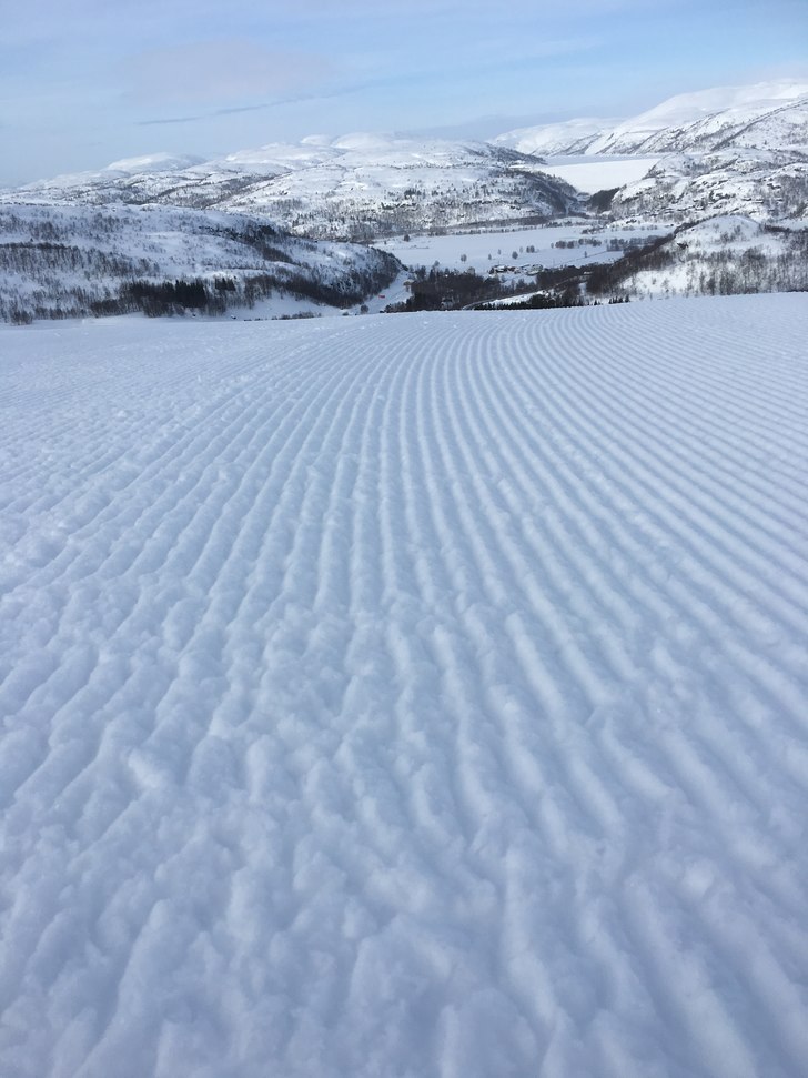 Lørdag 25/3
Flotte forhold! Vindstille, lettskyet.