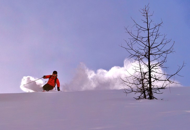 Skön dag i skogen, bluebird och sköna polare.. Foto: Adam Jonsson. Åkare: Frida Alderin Harling.