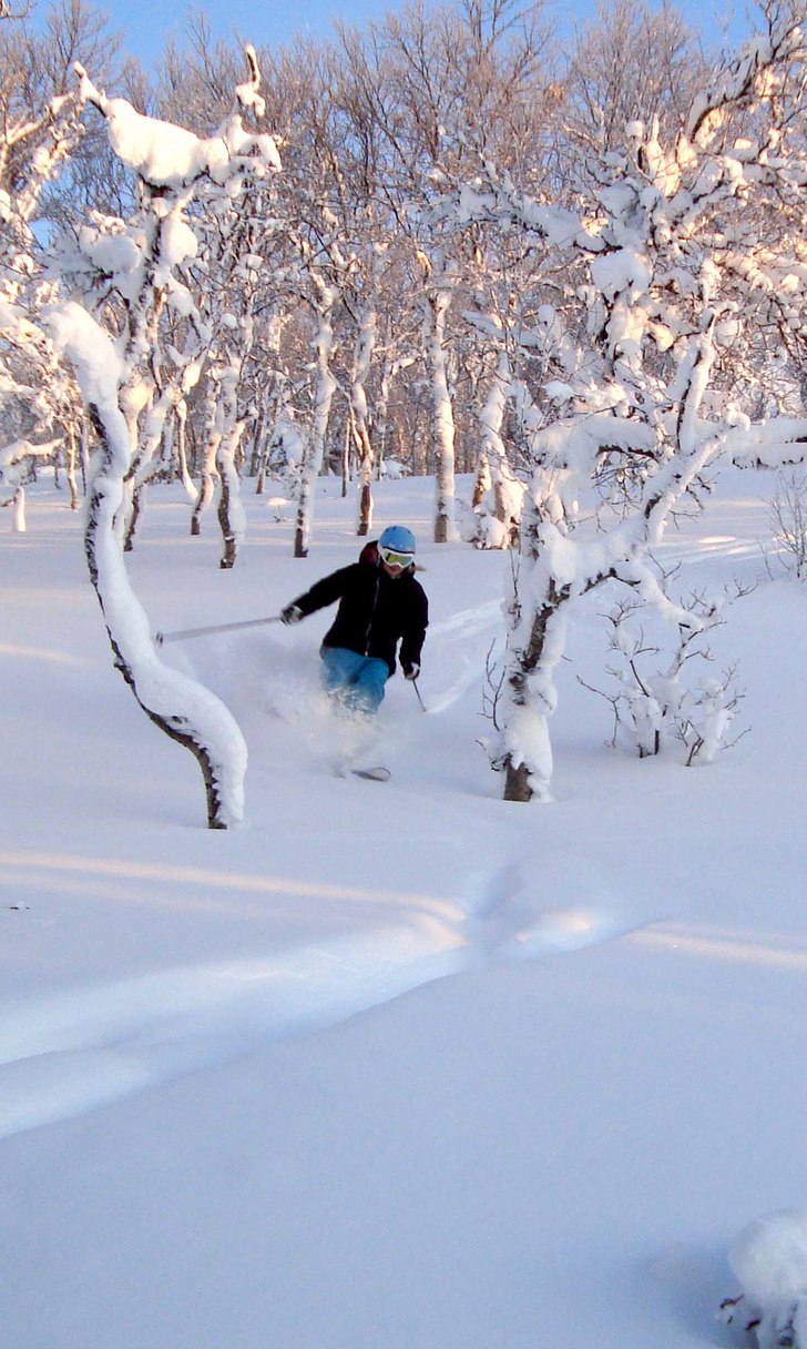 Foto: Johan Olsson. Åkare: Hanna Skogsberg.