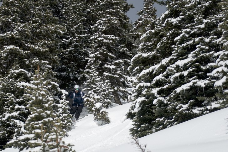 Lägger en skön skogslinje på bergets baksida. Foto: Ludwig Andersson. Åkare: Simon Jansson.