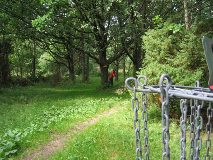 Frisbeegolf i goda vänners lag.... Foto: Oskar Nätt. Åkare: Niklas Ruberg.