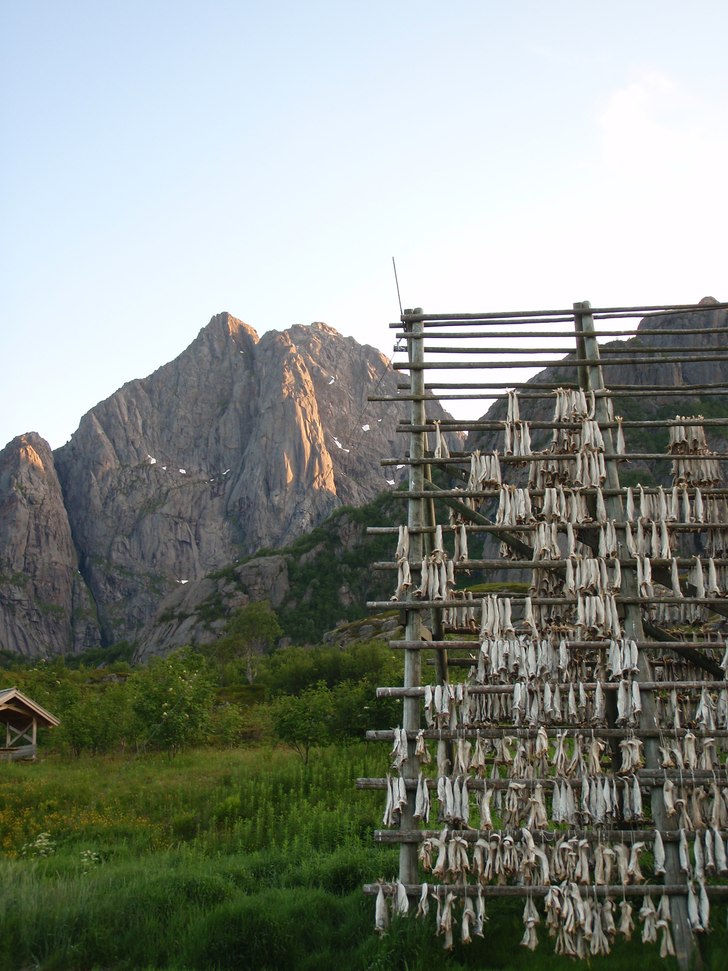Klockan är 2 på natten och det är omöjligt att. Foto: Johan Mörk.