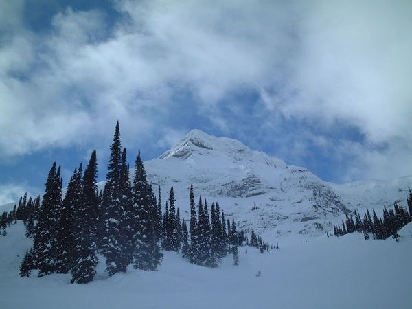 Foto: Olle Svensson. Åkare: Fernie.