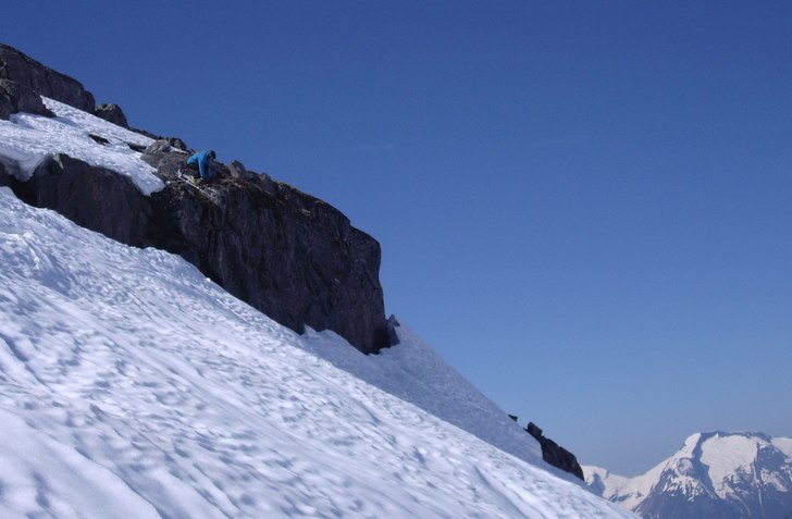 Henke leker på Strynefjellet. Foto: Robert Hortlund. Åkare: Hendrik Liljeqvistt.