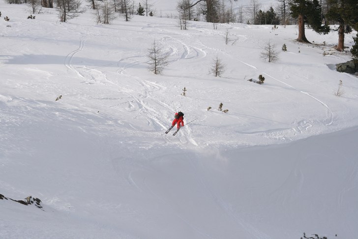 Robin 180 i naturvall. Foto: Adam Jonsson. Åkare: Robin Ljungqwist.