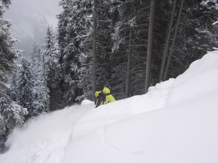 Ett trevligt åk i skogen. Foto: Robin Elfsberg. Åkare: Kalle Kax Karlgren.