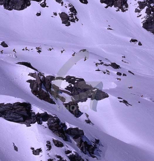 The lack of snow brought Jonas to search for other. Foto: Yves Garneau. Åkare: Jonas Delong.