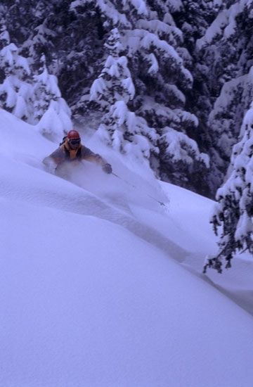 One of the deep days of 2002... Carina eating up t. Foto: Yves Garneau. Åkare: Carina Sahlin.