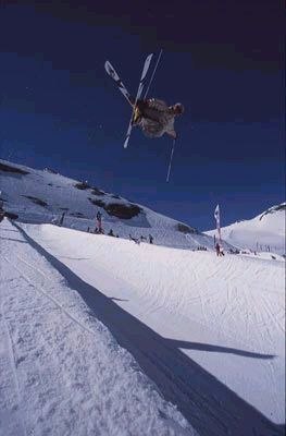 En ganska snygg mute av en polare . Foto: Andy P. Åkare: Okänd.