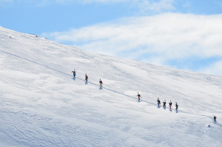 ut på tur aldrig sur, hemavan ride the cow.