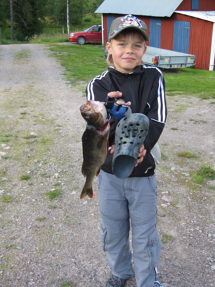 stora abborren.... Foto: pappa. Åkare: Jag.