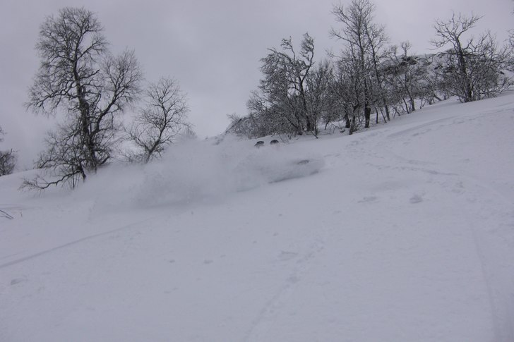 Foto: Jacke. Åkare: Tobbe.