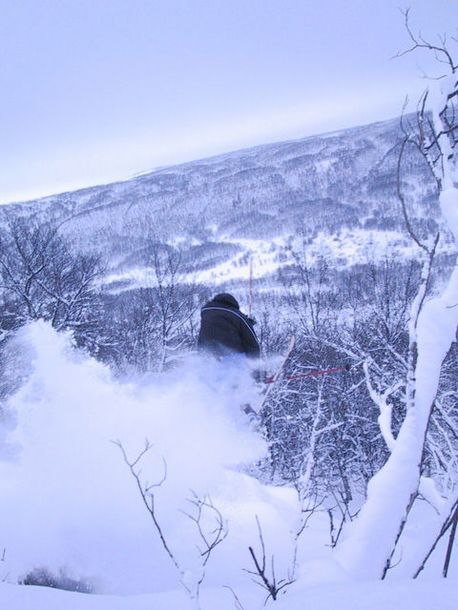 Foto: Björn Johansson. Åkare: Mattias Hargin.