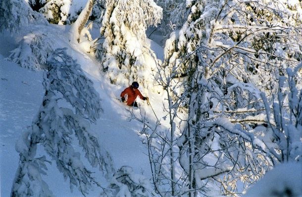 Foto: Pär Lindholm. Åkare: Anders Persson.