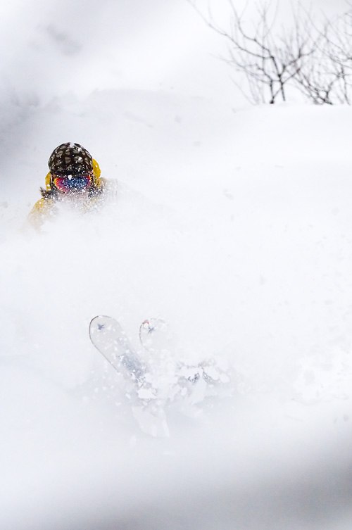 Foto: Jesper Molin. Åkare: Henrik Utter.