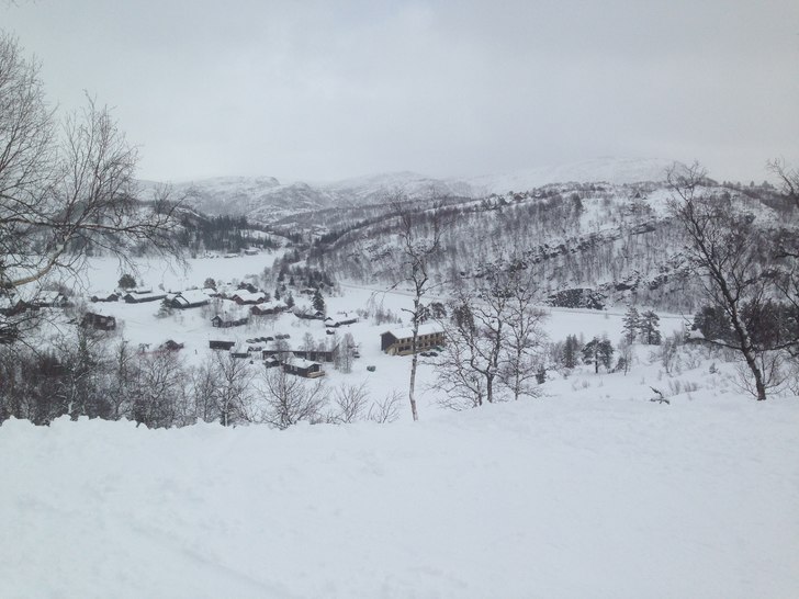 NYSNØ
Har nå fått ca 25-30 cm snø siden igår .