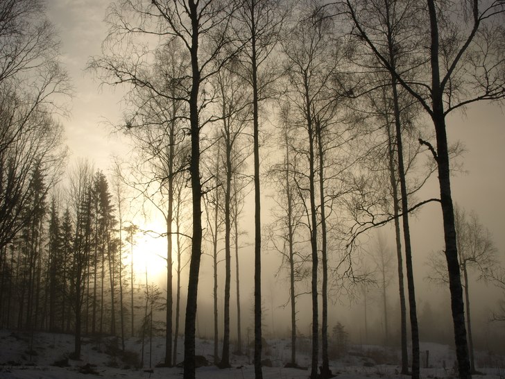 Morgon dimma. Foto: Hampus Eklund.