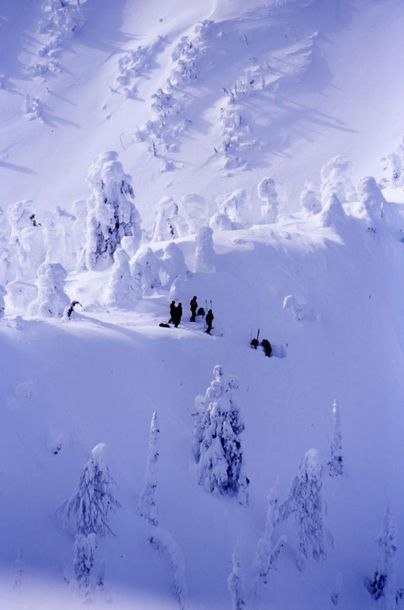 Foto: Jesper Andersson. Åkare: Locals.