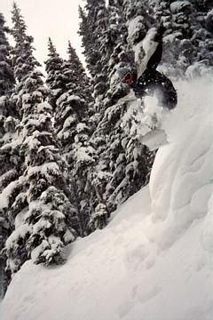 Foto: Lasse Solheim. Åkare: Ståle Dybsjord.