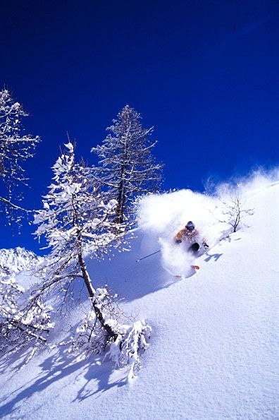 Foto: Mikael Pilstrand. Åkare: Ted Josefsson.