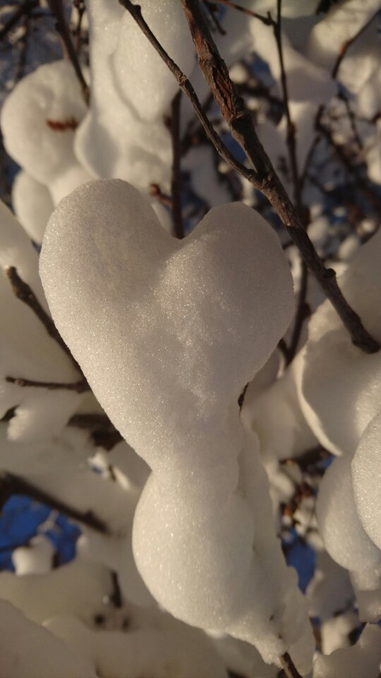 Dagens forhold 23.04.17
Sesongens siste dag, det e.
